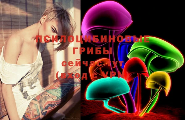 прущий лед Арсеньев