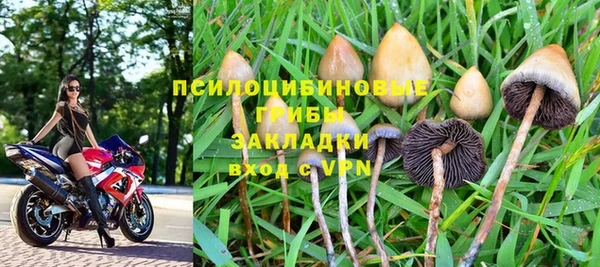 гидра Баксан